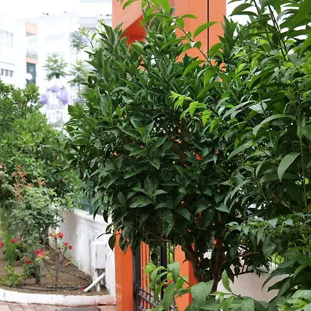 Appartement Konyaalti - Liman - - Lueks Ve Huzurlu Sitede Guezel Bir Daire *