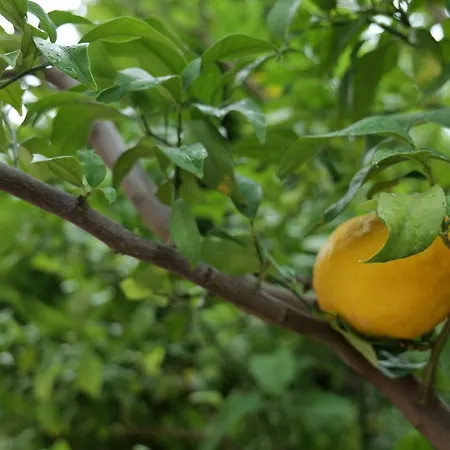 Konyaalti - Liman - - Lueks Ve Huzurlu Sitede Guezel Bir Daire