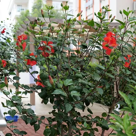 Konyaalti - Liman - - Lueks Ve Huzurlu Sitede Guezel Bir Daire Antalia